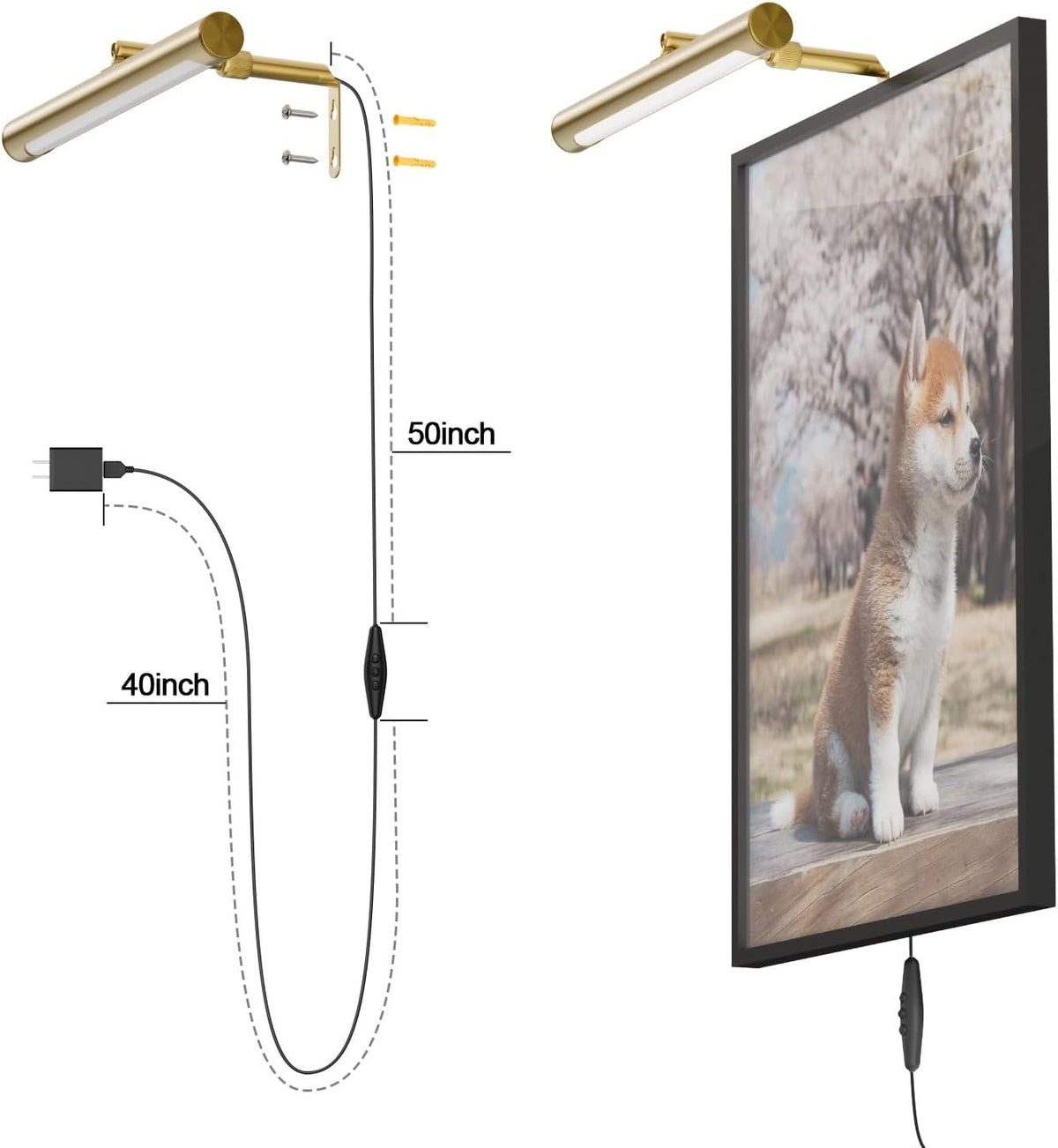 4W Picture Light Plug in, 12" Adjustable LED Art Light with Remote Control, Dimmable Wall Light for Picture Display Dartboard Art Work (Gold)